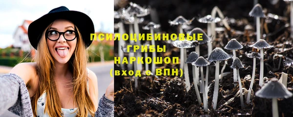 прущая мука Богородск